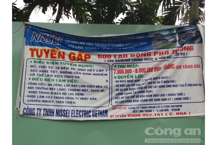 Sinh viên đi làm công nhân thời vụ vào dịp nghỉ hè