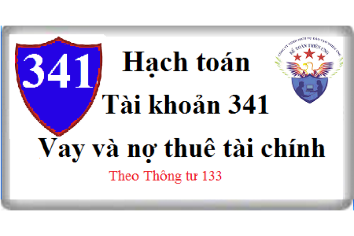 Cách hạch toán Vay và nợ thuê tài chính Tài khoản 341 theo TT 133