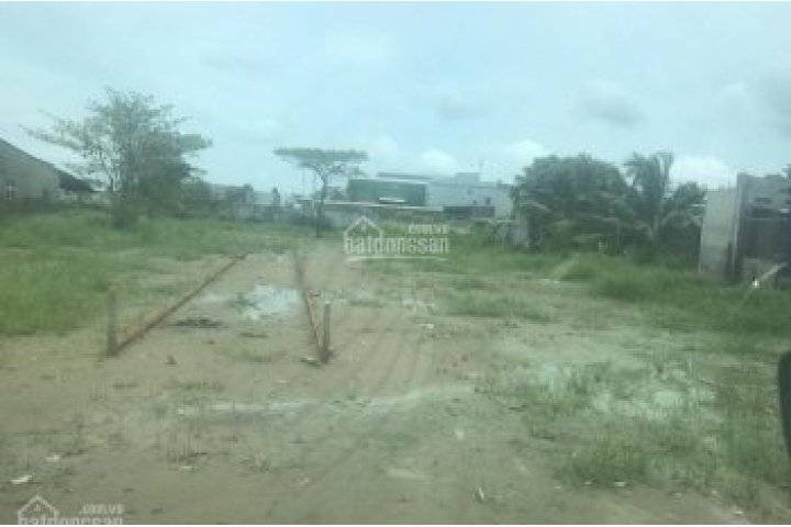 Bán đất tại đường Đoàn Nguyễn Tuấn, Huyện Bình Chánh