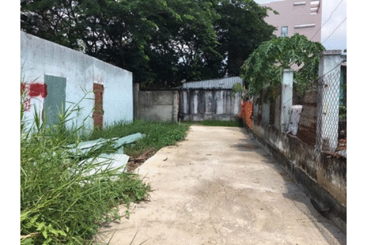 đất đường bưng ông thoàn phường phú hữu quận 9 • Mua đất quận 9 ...