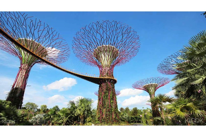 Singapore Gardens by the Bay Tickets (Cloud Forest & Flower Dome ...