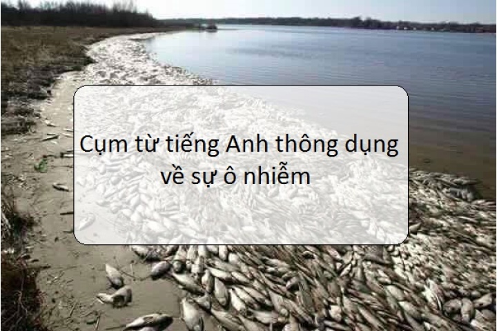 C.E.P - Các cụm từ tiếng Anh liên quan tới chủ đề ô nhiễm (Pollution ...