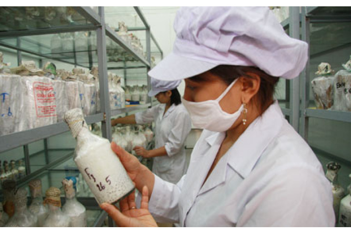 Sửa đổi Luật Khoa học và Công nghệ: Tháo gỡ nhiều “nút thắt”