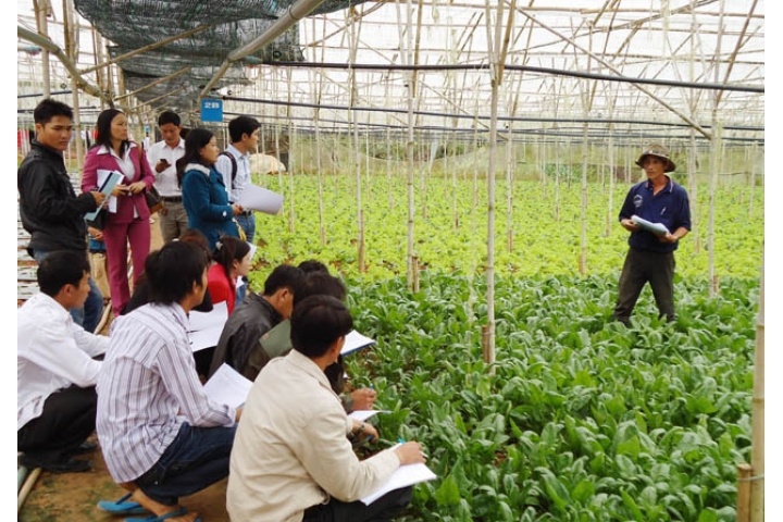 Bình Dương: Hỗ trợ nông dân áp dụng tiến bộ khoa học công nghệ mới ...