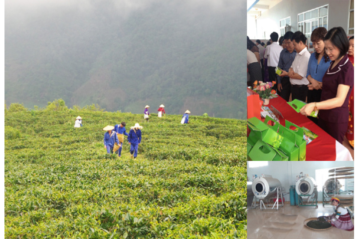 Phát triển Khoa học và Công nghệ phục vụ sự nghiệp công nghiệp hóa ...