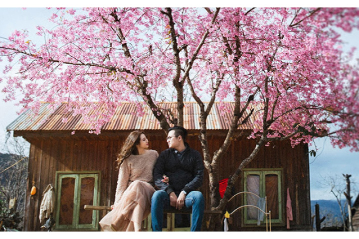 Có nên Du Lịch Đà Lạt tháng 1 2019 không? Thời tiết tháng 1 thế nào?