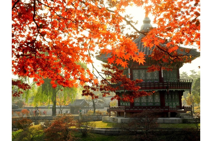 Tour giá rẻ - Hàn Quốc mùa lãng mạn - SEOUL - NAMI - EVERLAND ...