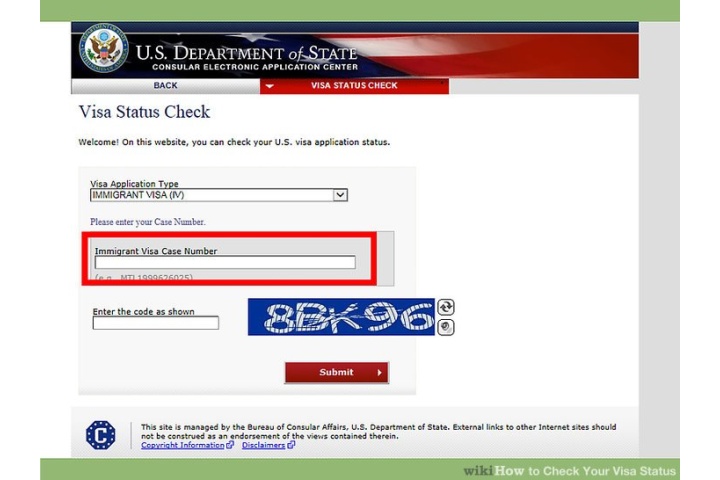 Immigrant Visa Case Number Check