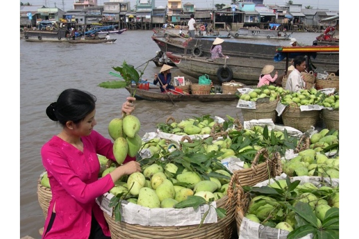Tour du lịch miền tây bến tre tiền giang 1 ngày giá rẻ.