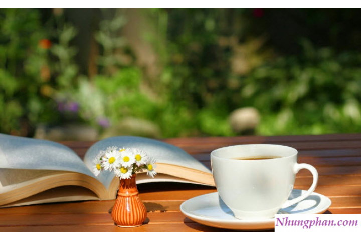 Sách-Lợi ích- Vai trò của việc đọc sách đối với đời sống con người