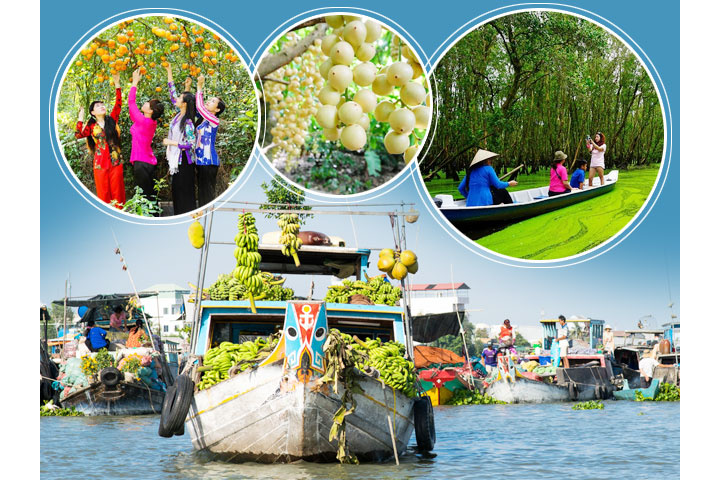 Tour du lịch Miền Tây - Châu Đốc - Hà Tiên - Cần Thơ 4N3Đ