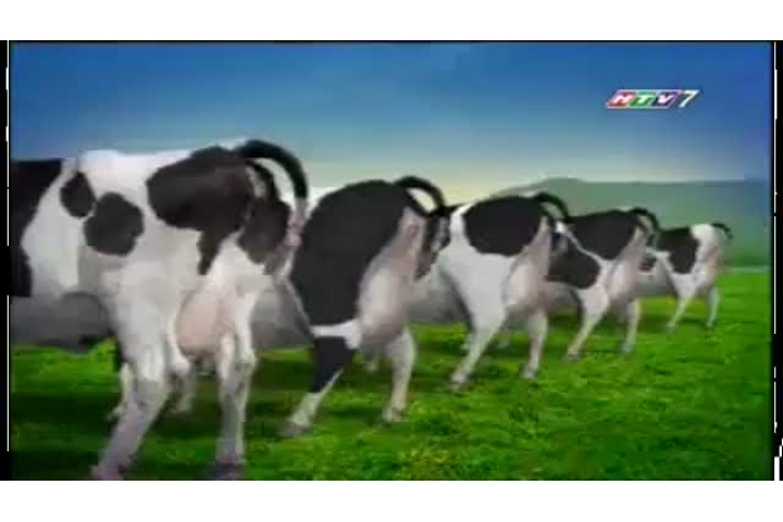 Quảng Cáo Vinamilk - MC - NhacCuaTui