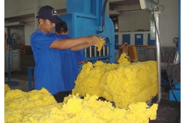 Cao su Phước Hòa: Nhiều kỳ vọng mới | Tạp chí Cao su Việt Nam