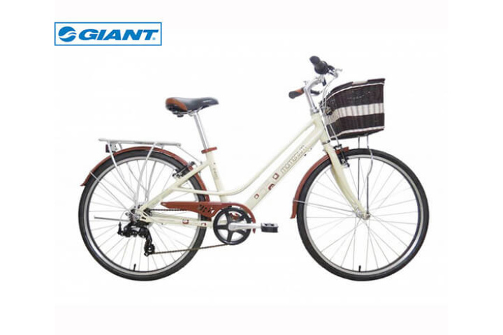 Top 4 chiếc xe đạp thể thao dành cho nữ giá rẻ, chất lượng