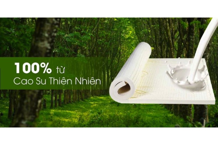Khái niệm cao su thiên nhiên là gì? Ưu điểm và Nhược Điểm - Đệm Đẹp