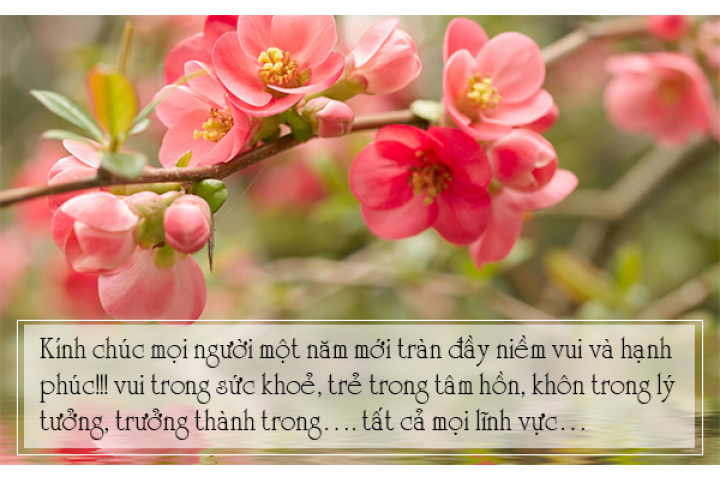 Câu chúc Tết bạn bè hay và đáng yêu nhất năm 2019 - Kyna.vn