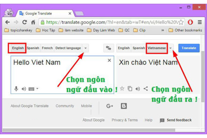 cách dịch tiếng anh sang tiếng việt
