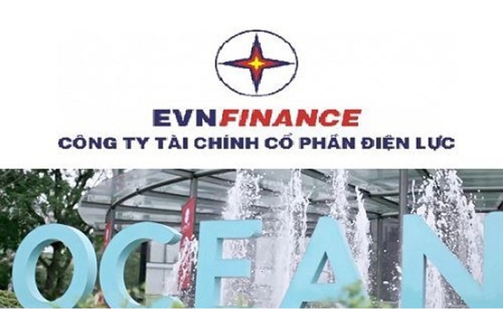 Đại gia” Tài chính Điện lực có mua… hớ cổ phiếu OCH? | Tài chính ...