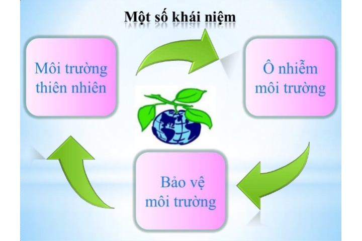 [Top Bình Chọn] - Powerpoint về ô nhiễm môi trường - Trần Gia …
