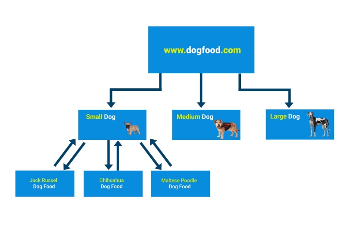 Cách xây dựng website lên top Google với cấu trúc silo - Magic Marketing