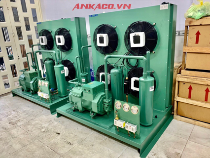 Cụm máy nén Bitzer 10hp 4PES-12 giá tốt cho kho lạnh