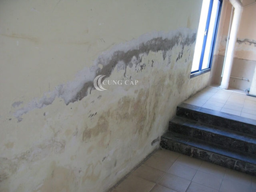 Tại sao dịch vụ chống thấm dột tại Hà Đông được ưa chuộng hiện nay