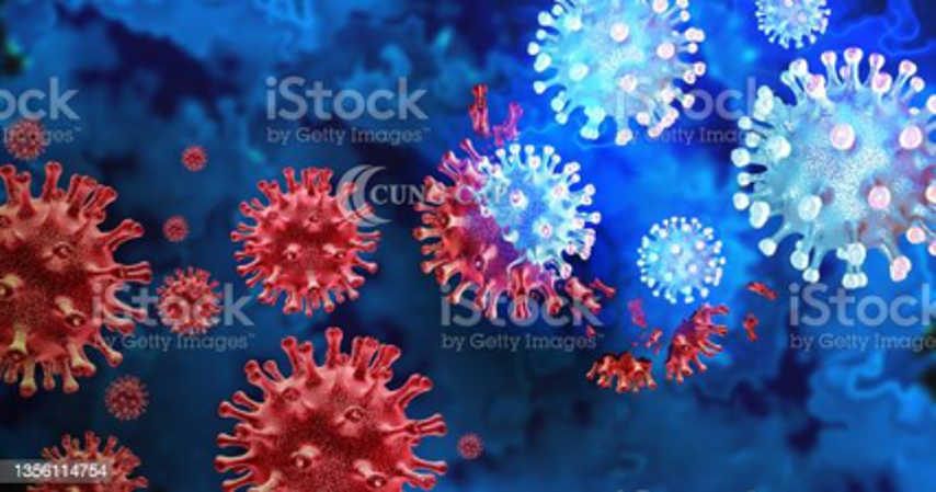 Corona Virus (Covid-19)