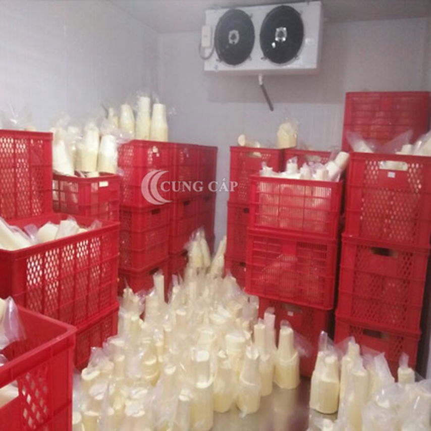 Hoàn thiện kho lạnh bảo quản củ hủ dừa tại Bến Tre