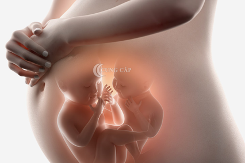 3 dấu hiệu thai 12 tuần phát triển tốt khỏe mạnh mẹ nên biết