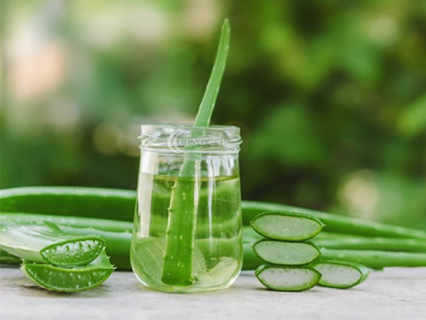 Những câu hỏi liên quan đến cách đắp mặt nạ bằng nha đam