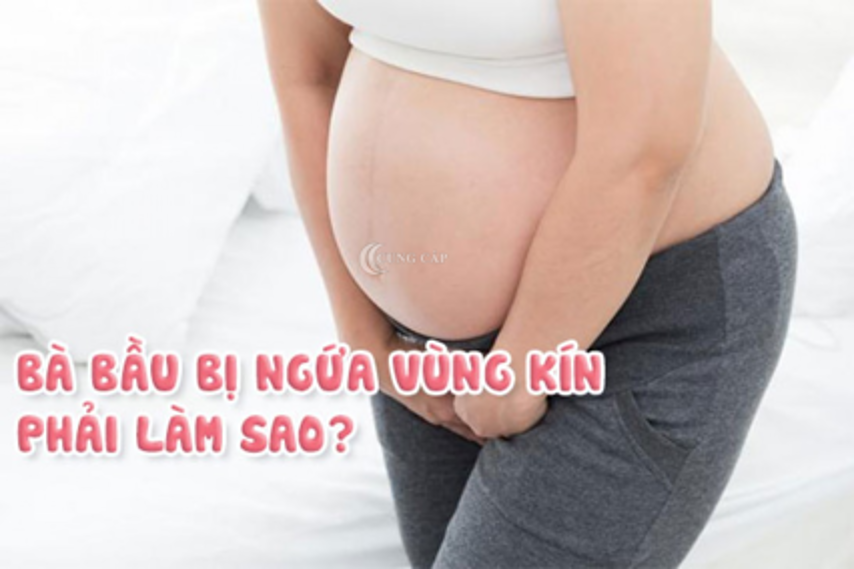 Bà bầu bị ngứa vùng kín phải làm sao để hết khó chịu?