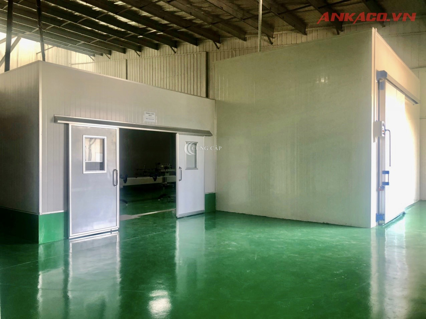 Thi công hoàn chỉnh kho lạnh bảo quản kim chi