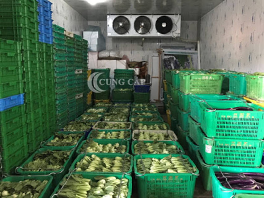 Thi công kho lạnh bảo quản rau củ chất lượng, giá tốt