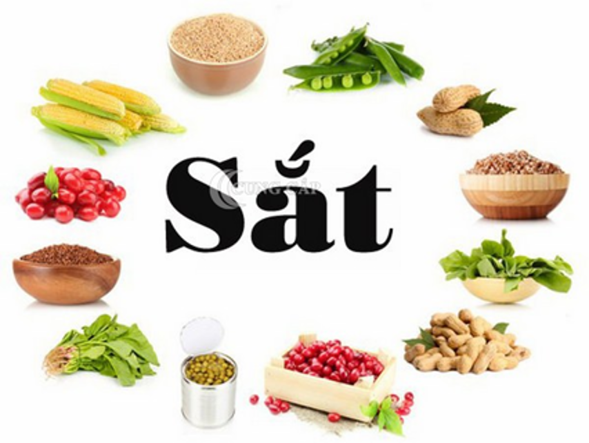 Chế độ dinh dưỡng cho bà bầu bị thiếu máu