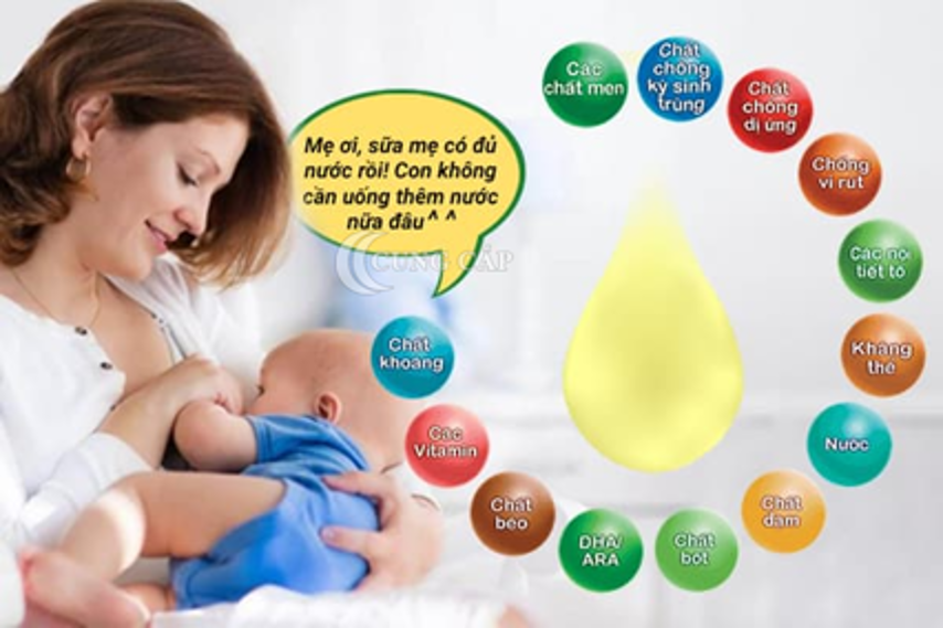Thành phần sữa mẹ gồm những chất gì?
