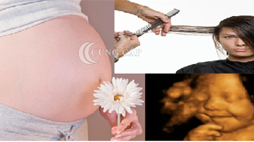 Bà bầu 3 tháng đầu có được cắt tóc không?