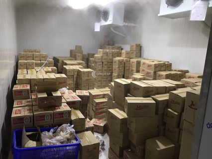 Lắp đặt hoàn thiện kho lạnh bảo quản kem chất lượng giá tốt