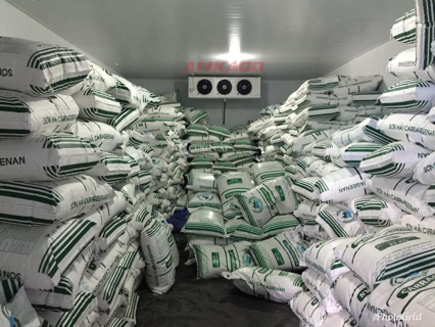 Báo giá kho lạnh bảo quản bột rau câu tại Gia Lai