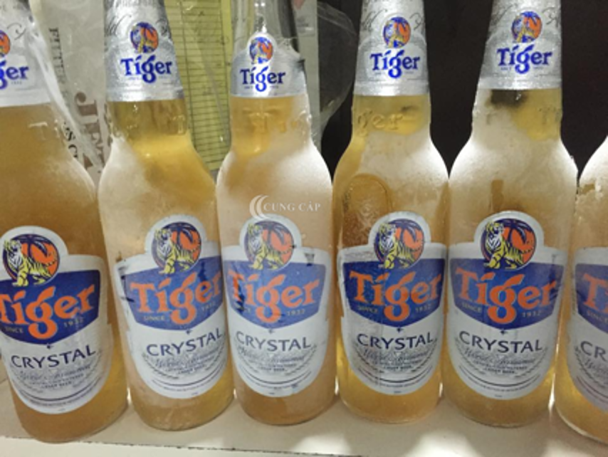 Cung cấp tủ bia sệt 6 kết cho quán nhậu, nhà hàng, khách sạn