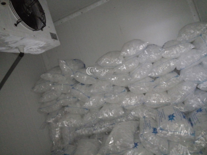 Báo giá lắp đặt kho lạnh bảo quản đá viên cho nhà hàng, quán nước