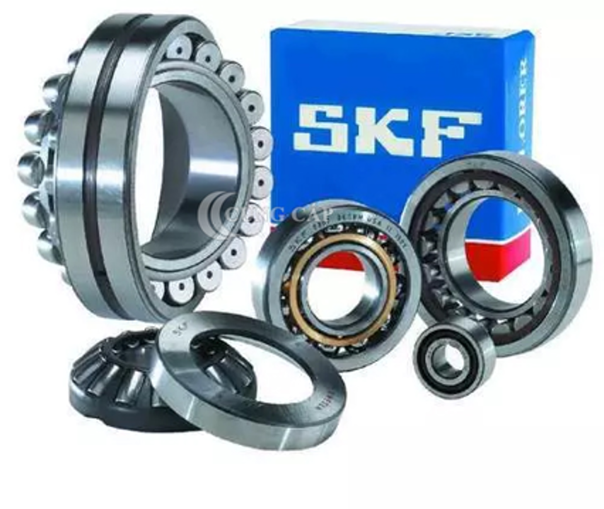 Giới thiệu về vòng bi hãng SKF