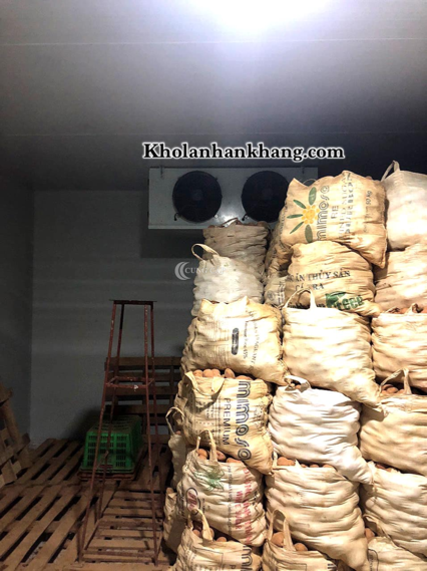 Lắp đặt kho lạnh bảo quản khoai tây giống tại Lâm Đồng