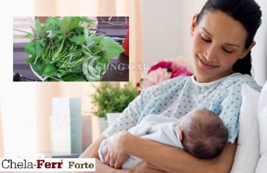 Rau lang: mẹ sau sinh có ăn được không?