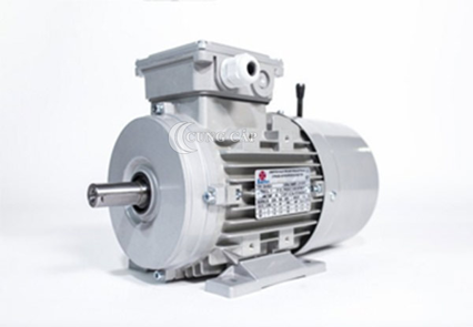 Motor điện không đồng bộ là gì? Cấu tạo và nguyên lý