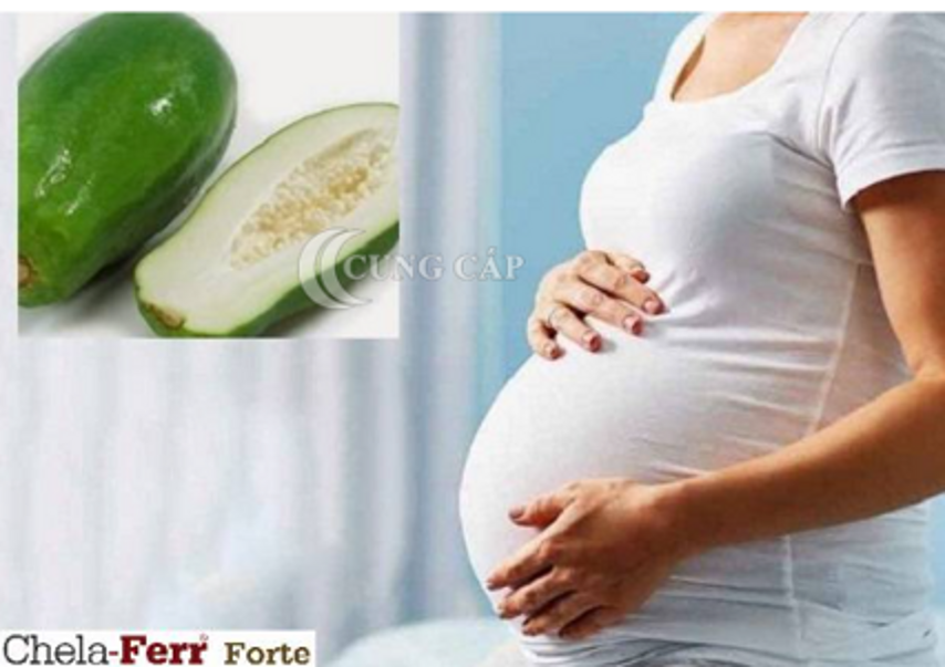 Bà bầu lỡ ăn đu đủ xanh có sao không?