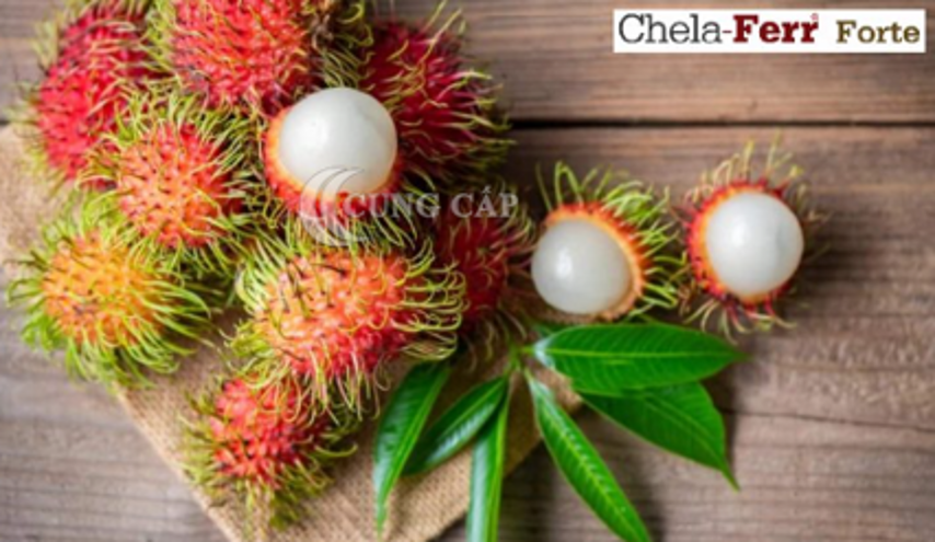 Sau sinh có được ăn chôm chôm không?