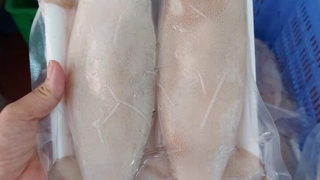 Cung Cấp Mực ống
