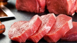 Cung Cấp Phi lê Bò Úc